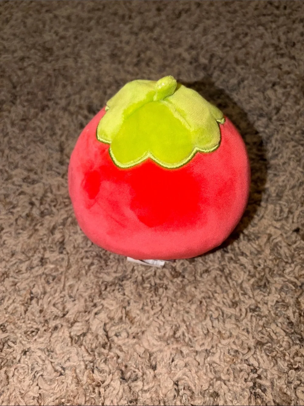 Squishmallows scarlet cinnamon